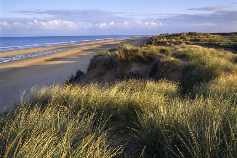 A view across the Marram and Sea-lyme sand dunes at Formby Point towards the shore line where the sea laps gently on the yellow sandy beach. Photograph © National Trust